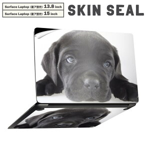 Surface Laptop 7 13.8 / 15 C` p XLV[ SʃXLV[ t laptop7p w  XebJ[ یV[ LN^[ 킢 000127   t`uhbN _bNXtg