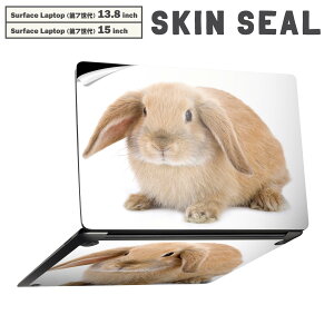 Surface Laptop 7 13.8 / 15 C` p XLV[ SʃXLV[ t laptop7p w  XebJ[ یV[ LN^[ 킢 001112 @