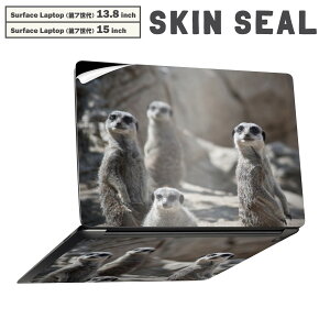 Surface Laptop 7 13.8 / 15 C` p XLV[ SʃXLV[ t laptop7p w  XebJ[ یV[ LN^[ 킢 023560 ~[ALbg@@ʐ^