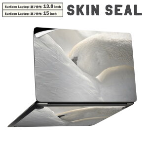 Surface Laptop 7 13.8 / 15 C` p XLV[ SʃXLV[ t laptop7p w  XebJ[ یV[ LN^[ 킢 023866 @