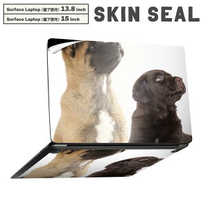 Surface Laptop ��7���� 13.8 / 15 �C���` �p �X�L���V�[�� �S�ʃX�L���V�[�� �t�� laptop7�p �w�� �� �X�e�b�J�[ �ی�V�[�� �L�����N�^�[ ���킢�� 008364 �ʐ^�@���@�L