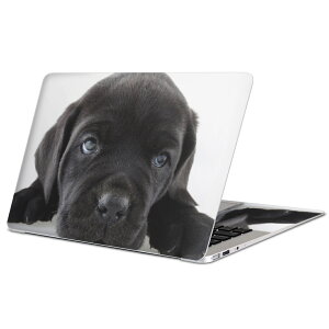 MacBook p XLV[ }bNubN 13C` ` 16C` MacBook Pro / MacBook Air eΉ m[gp\R Jo[ P[X tB XebJ[ ANZT[ ی 000127   t`uhbN