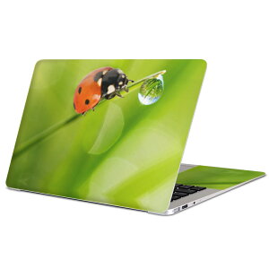 MacBook p XLV[ }bNubN 13C` ` 16C` MacBook Pro / MacBook Air eΉ m[gp\R Jo[ P[X tB XebJ[ ANZT[ ی 000820 ĂƂ@