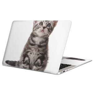 MacBook p XLV[ }bNubN 13C` ` 16C` MacBook Pro / MacBook Air eΉ m[gp\R Jo[ P[X tB XebJ[ ANZT[ ی 001070 L@AJV[g