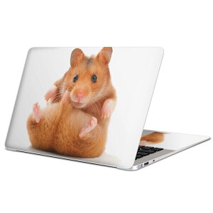 MacBook p XLV[ }bNubN 13C` ` 16C` MacBook Pro / MacBook Air eΉ m[gp\R Jo[ P[X tB XebJ[ ANZT[ ی 001075 nX^[@