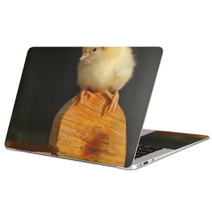 MacBook p XLV[ }bNubN 13C` ` 16C` MacBook Pro / MacBook Air eΉ m[gp\R Jo[ P[X tB XebJ[ ANZT[ ی 001101 qR@n[g