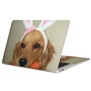 MacBook p XLV[ }bNubN 13C` ` 16C` MacBook Pro / MacBook Air eΉ m[gp\R Jo[ P[X tB XebJ[ ANZT[ ی 001111 @S[f@