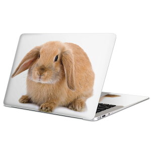 MacBook p XLV[ }bNubN 13C` ` 16C` MacBook Pro / MacBook Air eΉ m[gp\R Jo[ P[X tB XebJ[ ANZT[ ی 001112 @