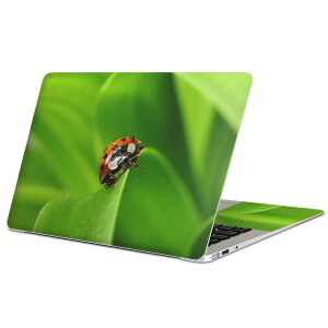 MacBook 用 スキンシール マックブック 13インチ 〜 16インチ MacBook Pro / MacBook Air 各種対応 ノートパソコン カバー ケース フィルム ステッカー アクセサリー 保護 001144 てんとう虫 草