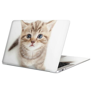 MacBook p XLV[ }bNubN 13C` ` 16C` MacBook Pro / MacBook Air eΉ m[gp\R Jo[ P[X tB XebJ[ ANZT[ ی 001194 lR@