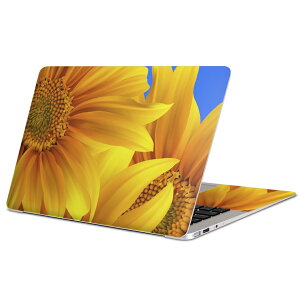MacBook p XLV[ }bNubN 13C` ` 16C` MacBook Pro / MacBook Air eΉ m[gp\R Jo[ P[X tB XebJ[ ANZT[ ی 001397 Ђ܂