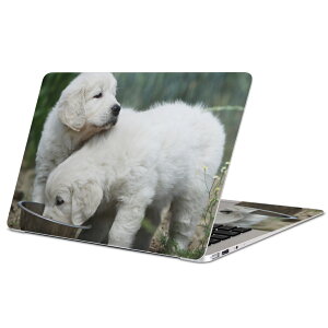 MacBook p XLV[ }bNubN 13C` ` 16C` MacBook Pro / MacBook Air eΉ m[gp\R Jo[ P[X tB XebJ[ ANZT[ ی 002577