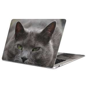 MacBook p XLV[ }bNubN 13C` ` 16C` MacBook Pro / MacBook Air eΉ m[gp\R Jo[ P[X tB XebJ[ ANZT[ ی 002650 L@@ʐ^