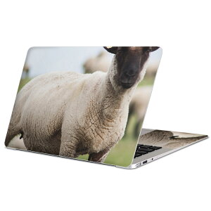 MacBook p XLV[ }bNubN 13C` ` 16C` MacBook Pro / MacBook Air eΉ m[gp\R Jo[ P[X tB XebJ[ ANZT[ ی 002653 Ђ@@ʐ^