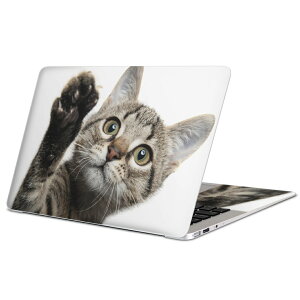 MacBook p XLV[ }bNubN 13C` ` 16C` MacBook Pro / MacBook Air eΉ m[gp\R Jo[ P[X tB XebJ[ ANZT[ ی 002674 L@@ʐ^