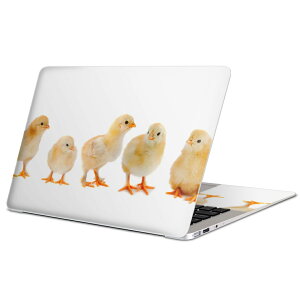 MacBook p XLV[ }bNubN 13C` ` 16C` MacBook Pro / MacBook Air eΉ m[gp\R Jo[ P[X tB XebJ[ ANZT[ ی 002715 @@ʐ^