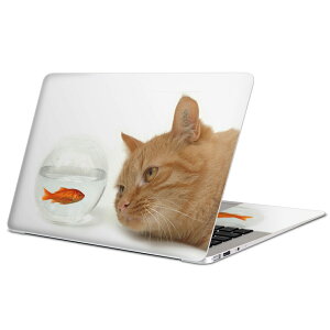 MacBook p XLV[ }bNubN 13C` ` 16C` MacBook Pro / MacBook Air eΉ m[gp\R Jo[ P[X tB XebJ[ ANZT[ ی 002741 L@@ʐ^