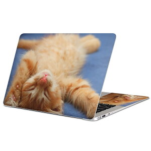 MacBook p XLV[ }bNubN 13C` ` 16C` MacBook Pro / MacBook Air eΉ m[gp\R Jo[ P[X tB XebJ[ ANZT[ ی 002759 L@@ʐ^