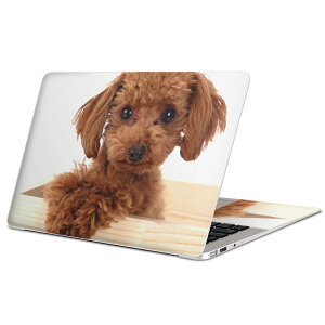 MacBook p XLV[ }bNubN 13C` ` 16C` MacBook Pro / MacBook Air eΉ m[gp\R Jo[ P[X tB XebJ[ ANZT[ ی 002769 @@ʐ^