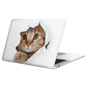 MacBook p XLV[ }bNubN 13C` ` 16C` MacBook Pro / MacBook Air eΉ m[gp\R Jo[ P[X tB XebJ[ ANZT[ ی 002783 L@@ʐ^