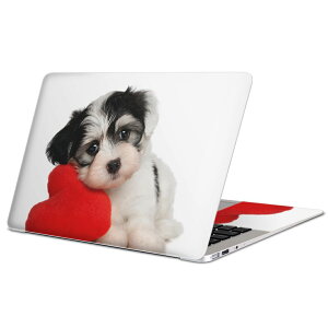 MacBook p XLV[ }bNubN 13C` ` 16C` MacBook Pro / MacBook Air eΉ m[gp\R Jo[ P[X tB XebJ[ ANZT[ ی 002793 @@ʐ^