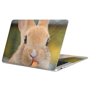 MacBook p XLV[ }bNubN 13C` ` 16C` MacBook Pro / MacBook Air eΉ m[gp\R Jo[ P[X tB XebJ[ ANZT[ ی 002807 @@ʐ^