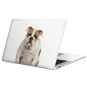 MacBook p XLV[ }bNubN 13C` ` 16C` MacBook Pro / MacBook Air eΉ m[gp\R Jo[ P[X tB XebJ[ ANZT[ ی 002883 @@ʐ^