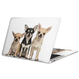 MacBook p XLV[ }bNubN 13C` ` 16C` MacBook Pro / MacBook Air eΉ m[gp\R Jo[ P[X tB XebJ[ ANZT[ ی 002885 @@ʐ^