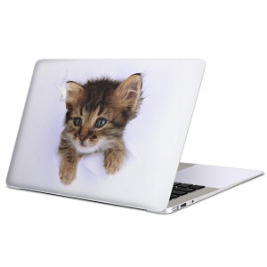 MacBook p XLV[ }bNubN 13C` ` 16C` MacBook Pro / MacBook Air eΉ m[gp\R Jo[ P[X tB XebJ[ ANZT[ ی 002892 L@@ʐ^