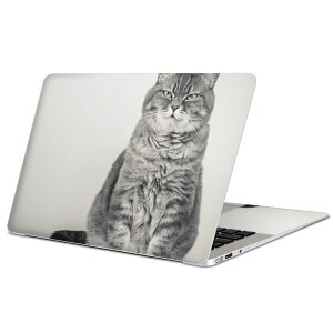 MacBook p XLV[ }bNubN 13C` ` 16C` MacBook Pro / MacBook Air eΉ m[gp\R Jo[ P[X tB XebJ[ ANZT[ ی 002901 L@@ʐ^