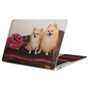 MacBook p XLV[ }bNubN 13C` ` 16C` MacBook Pro / MacBook Air eΉ m[gp\R Jo[ P[X tB XebJ[ ANZT[ ی 002913 @@ʐ^