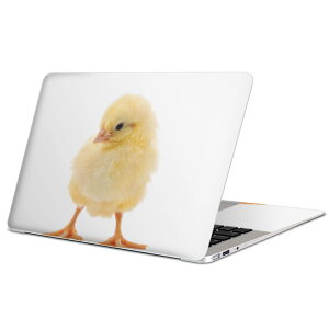 MacBook p XLV[ }bNubN 13C` ` 16C` MacBook Pro / MacBook Air eΉ m[gp\R Jo[ P[X tB XebJ[ ANZT[ ی 002923 @@ʐ^