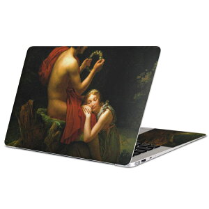 MacBook p XLV[ }bNubN 13C` ` 16C` MacBook Pro / MacBook Air eΉ m[gp\R Jo[ P[X tB XebJ[ ANZT[ ی 003214 l@G@CXg
