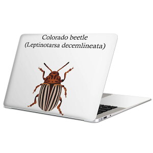 MacBook p XLV[ }bNubN 13C` ` 16C` MacBook Pro / MacBook Air eΉ m[gp\R Jo[ P[X tB XebJ[ ANZT[ ی 020022   colorado beetle R
