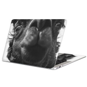 MacBook p XLV[ }bNubN 13C` ` 16C` MacBook Pro / MacBook Air eΉ m[gp\R Jo[ P[X tB XebJ[ ANZT[ ی 022854 ʐ^@N_