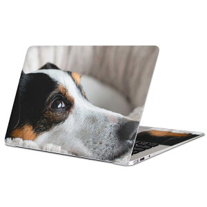 MacBook p XLV[ }bNubN 13C` ` 16C` MacBook Pro / MacBook Air eΉ m[gp\R Jo[ P[X tB XebJ[ ANZT[ ی 022865 @ʐ^