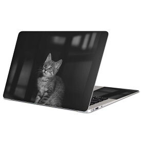 MacBook 用 スキンシール マックブック 13インチ 〜 16インチ MacBook Pro / MacBook Air 各種対応 ノートパソコン カバー ケース フィルム ステッカー アクセサリー 保護 022866 猫　ねこ　写真