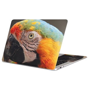 MacBook p XLV[ }bNubN 13C` ` 16C` MacBook Pro / MacBook Air eΉ m[gp\R Jo[ P[X tB XebJ[ ANZT[ ی 022983 IE@Jt@