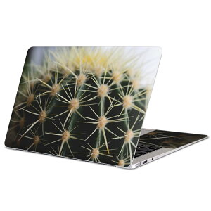 MacBook 用 スキンシール マックブック 13インチ 〜 16インチ MacBook Pro / MacBook Air 各種対応 ノートパソコン カバー ケース フィルム ステッカー アクセサリー 保護 023055 サボテン 写真