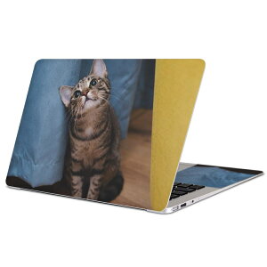MacBook p XLV[ }bNubN 13C` ` 16C` MacBook Pro / MacBook Air eΉ m[gp\R Jo[ P[X tB XebJ[ ANZT[ ی 023082 L@˂@@ʐ^