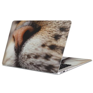 MacBook p XLV[ }bNubN 13C` ` 16C` MacBook Pro / MacBook Air eΉ m[gp\R Jo[ P[X tB XebJ[ ANZT[ ی 023091 L@˂@@ʐ^
