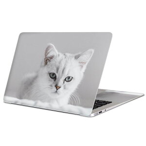MacBook p XLV[ }bNubN 13C` ` 16C` MacBook Pro / MacBook Air eΉ m[gp\R Jo[ P[X tB XebJ[ ANZT[ ی 023093 L@˂@@ʐ^