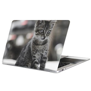 MacBook p XLV[ }bNubN 13C` ` 16C` MacBook Pro / MacBook Air eΉ m[gp\R Jo[ P[X tB XebJ[ ANZT[ ی 023094 L@˂@@ʐ^