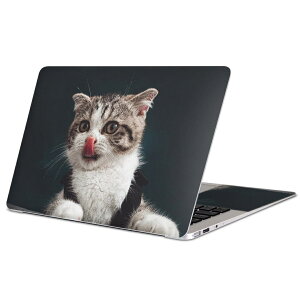 MacBook p XLV[ }bNubN 13C` ` 16C` MacBook Pro / MacBook Air eΉ m[gp\R Jo[ P[X tB XebJ[ ANZT[ ی 023096 L@˂@@ʐ^