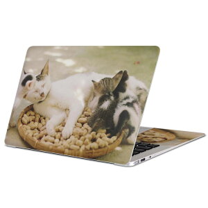 MacBook p XLV[ }bNubN 13C` ` 16C` MacBook Pro / MacBook Air eΉ m[gp\R Jo[ P[X tB XebJ[ ANZT[ ی 023098 L@˂@@ʐ^