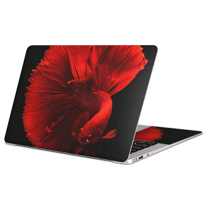 MacBook �p �X�L���V�[�� �}�b�N�u�b�N 13�C���` �` 16�C���` MacBook Pro / MacBook Air �e��Ή� �m�[�g�p�\�R�� �J�o�[ �P�[�X �t�B���� �X�e�b�J�[ �A�N�Z�T���[ �ی� 023154 �����@�ʐ^