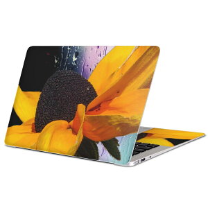 MacBook p XLV[ }bNubN 13C` ` 16C` MacBook Pro / MacBook Air eΉ m[gp\R Jo[ P[X tB XebJ[ ANZT[ ی 023161 ԁ@t[