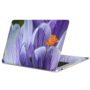 MacBook p XLV[ }bNubN 13C` ` 16C` MacBook Pro / MacBook Air eΉ m[gp\R Jo[ P[X tB XebJ[ ANZT[ ی 023175 ԁ@t[@ʐ^