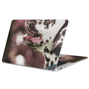 MacBook p XLV[ }bNubN 13C` ` 16C` MacBook Pro / MacBook Air eΉ m[gp\R Jo[ P[X tB XebJ[ ANZT[ ی 023189 @@ʐ^