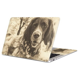 MacBook p XLV[ }bNubN 13C` ` 16C` MacBook Pro / MacBook Air eΉ m[gp\R Jo[ P[X tB XebJ[ ANZT[ ی 023215 @ZsA@